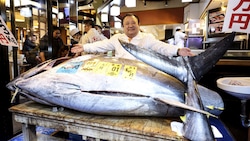 Der Betreiber des Sushi-Restaurants Zanmai präsentierte den Riesen-Fisch.
