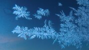 Die Temperaturen sinken – wenig Wind, wenig Niederschlag und ein klarer Himmel begünstigen die ...
