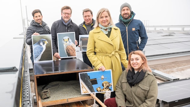 Die neu angebrachte Nisthilfe in Reininghaus mit Ornithologe Leander Khil (re. hinten) und ...