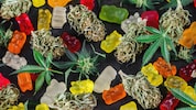 In Berlin ist ein Mann (42) nach dem Konsum von vermeintlichen Hasch-Gummibärchen gestorben ...