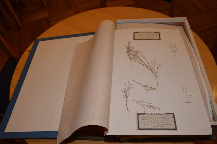 Seitenweise Pflanzen- geschichte: Die raren Sammler-Blätter wurden nun zurückgegeben.