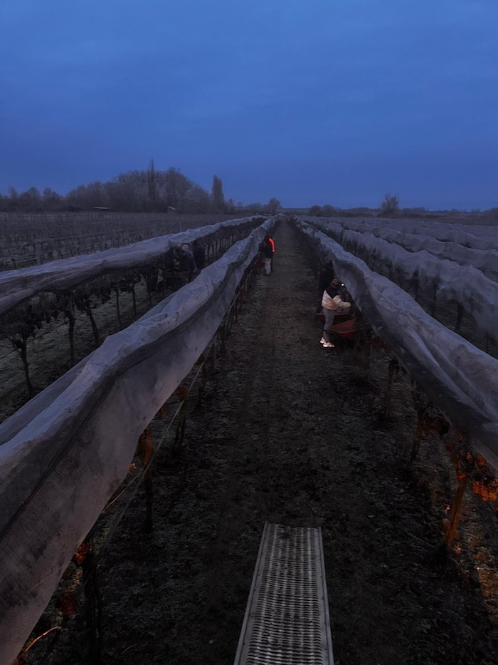 Bei frostigen Temperaturen waren die Leser unterwegs.