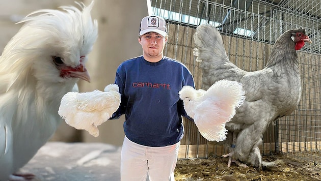 Zahlreiche Preise gewann Marco bereits mit seinen schönen und seltenem Federvieh.