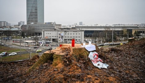 Nach den Baumrodungen am 19. November besetzten Aktivisten den Bergschlösslpark am Linzer ...