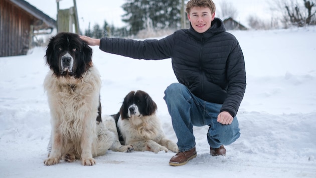 Anton (15) würde nirgendwo anders wohnen wollen