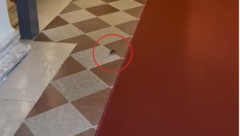 Der kleine Nager hat sich ein altehrwürdiges Zuhause gewählt ...