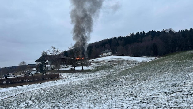 Die Rauchsäule des brennenden Holzhauses war weithin zu sehen