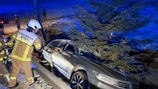 Nur ein Baum stoppte den Pkw: Das Fahrzeug blieb nach dem Unfall kurz vor einem Bach hängen.