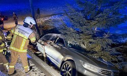 Nur ein Baum stoppte den Pkw: Das Fahrzeug blieb nach dem Unfall kurz vor einem Bach hängen.