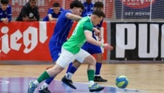 Hallein (re. Auer) gewann den Salzburger Stier.