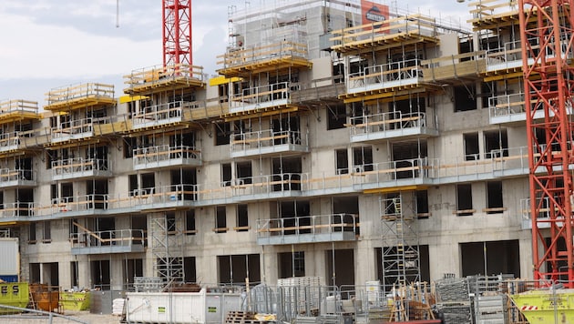 Insgesamt 952 Millionen Euro an Wohnbauförderung wurden 2025 vom Land NÖ beschlossen. ...