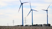 Windkraft gilt für viele als willkommener Ausstieg aus fossilen Energieträgern – das machte sich ...