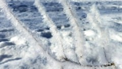 Es bleibt frostig in Österreich, besonders im Westen muss man gehörig zittern.