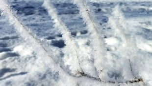 Es bleibt frostig in Österreich, besonders im Westen muss man gehörig zittern.