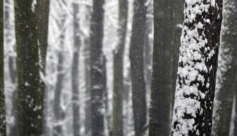 Eine Frau sah den Mann im Schnee sitzen, war im ersten Moment nicht besorgt. 