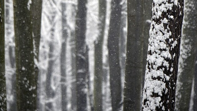 Eine Frau sah den Mann im Schnee sitzen, war im ersten Moment nicht besorgt.