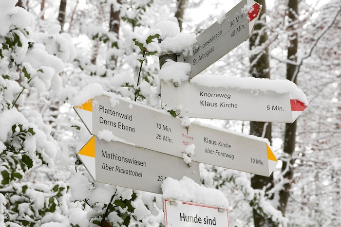 Viele Vorarlberger genießen die winterlichen Verhältnisse: Die einen gehen wandern...