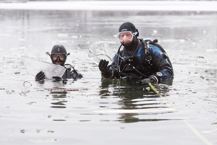 ... andere tauchen sogar unter das Eis ab.