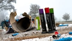 Sie machen Mist, verstören unsere Haustiere und sorgen Jahr für Jahr für zu viele Verletzungen: ...