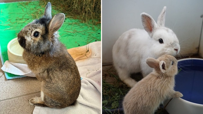 Sie sind alle schon auf ihr neues Zuhause gespannt.