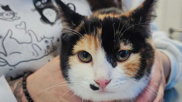 Wo ist meine Familie?