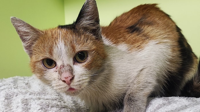 Wo sind ihre Herzensmenschen?