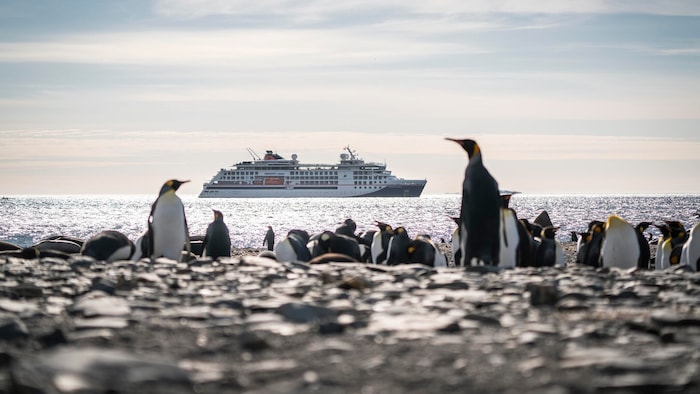 Hapag Lloyd Cruises bietet Expeditionskreuzfahrten an.