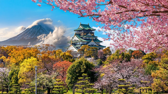 Besonders reizvoll: Japan zur Kirschblüte.