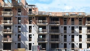 Am Immobilienmarkt wird im heurigen Jahr ein moderater Aufschwung erwartet.