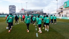 Rapid startete in die Vorbereitung.