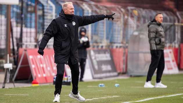 Admira-Trainer Thomas Silberberger schüttelt den Kopf.