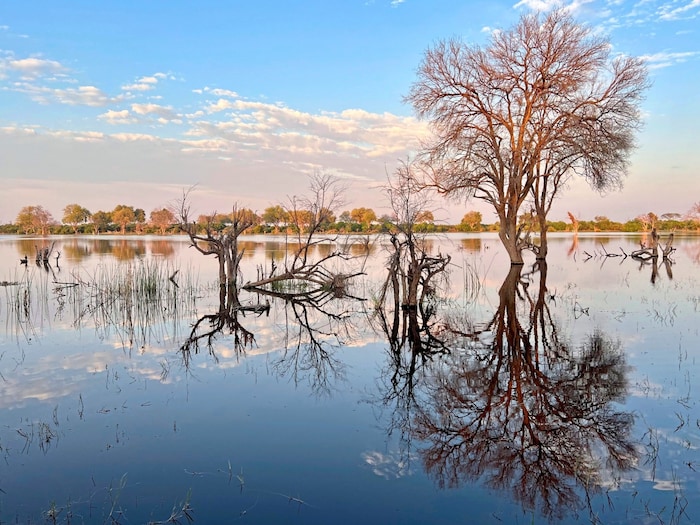 Faszinierende Naturmotive bieten die Entdeckungsreisen durch Botswana, ein mit 2,7 Millionen ...