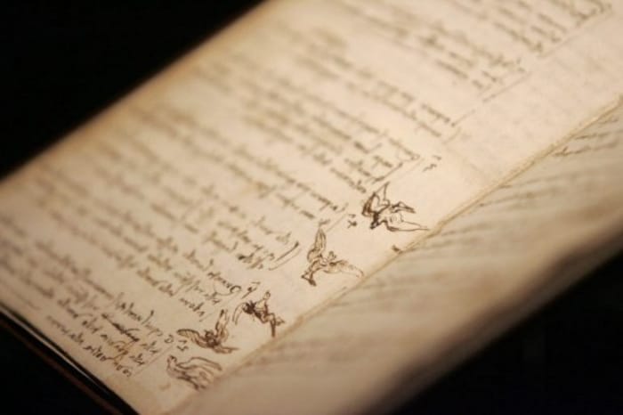 „Codice di volo“ – eine Studie über das Flugverhalten von Vögeln