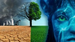 Die „Avatar“-Filmreihe ist in vielerlei Hinsicht ein warnendes Abbild der Realität.
