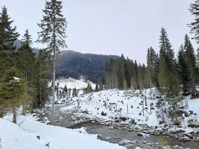 Die Rosanna durchfließt das Verwalltal.