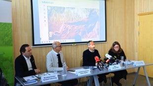 Minister Totschnig, LH Mattle, Michael Mölk und Margreth Keiler von der Uni Innsbruck (von ...