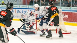 Fehervar wartet am Samstag auf die Pioneers.