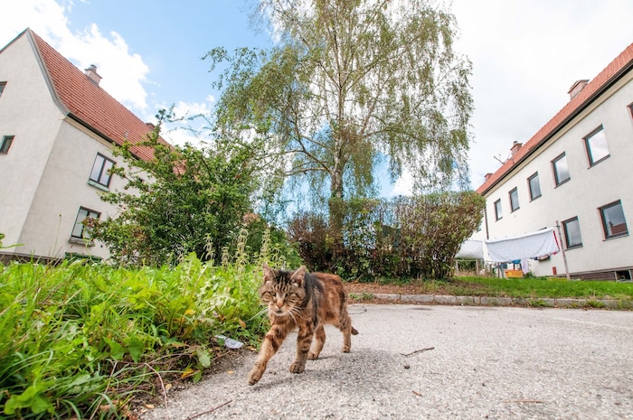 Sämtliche alte Häuser der ehemaligen Arbeitersiedlung werden generalsaniert. Bis 2027 sollen so ...