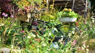 Gartenbauschule Langenlois gilt nicht zu Unrecht als Talentschmiede für grüne Berufe ...