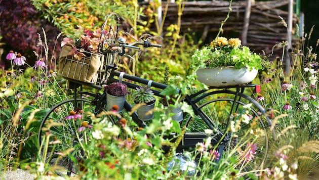 Gartenbauschule Langenlois gilt nicht zu Unrecht als Talentschmiede für grüne Berufe ...