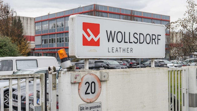 Wollsdorf Leder in Wollsdorf bei Gleisdorf