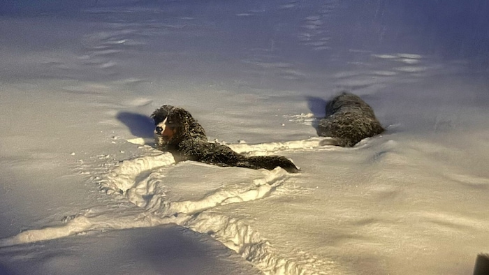 Paula und Gina von der Rauthhütte über Leutasch.