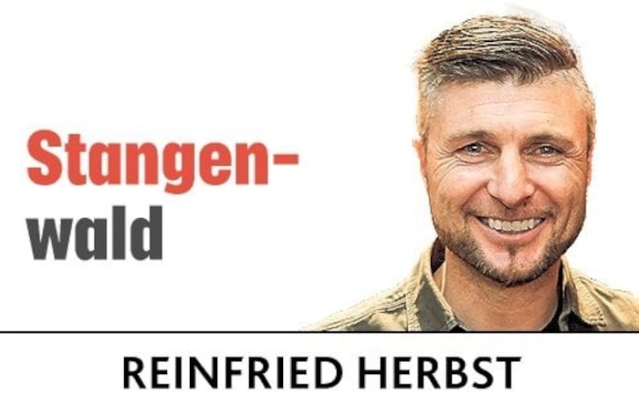 „Krone“-Kolumnist Reinfried Herbst