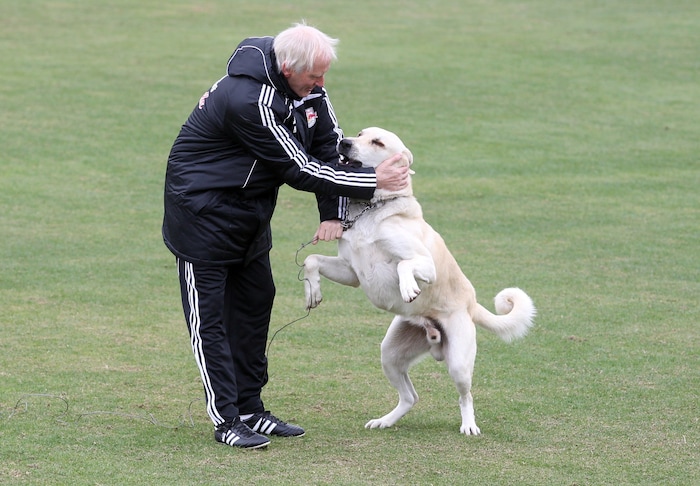 Co-Trainer Piet Hamberg wurde von einem Hund begrüßt.
