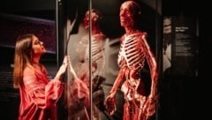 Fasziniert im Angesicht dessen, was unsere physische Existenz ausmacht: Beim Besuch der ...