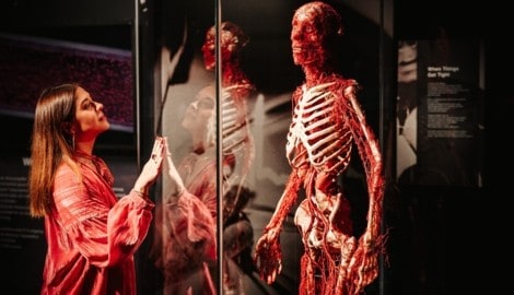 Fasziniert im Angesicht dessen, was unsere physische Existenz ausmacht: Beim Besuch der ...