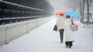 Schnee, Eis und wochenlange Dauerkälte: ein Jänner, an den man sich in Wien noch länger erinnern ...
