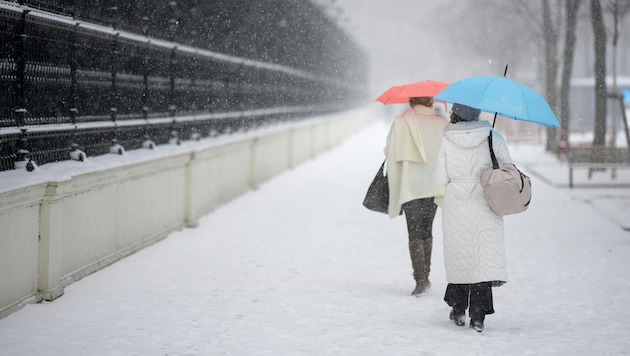 Schnee, Eis und wochenlange Dauerkälte: ein Jänner, an den man sich in Wien noch länger erinnern ...