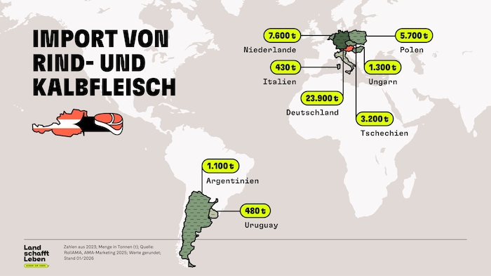 Österreich importiert Rindfleisch vor allem aus Deutschland, den Niederlanden und Tschechien.