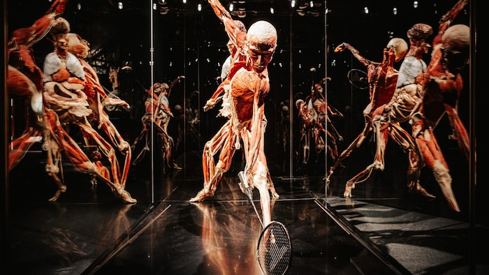 Wie in der Bewegung eingefroren wirkt dieser Badminton-Spieler